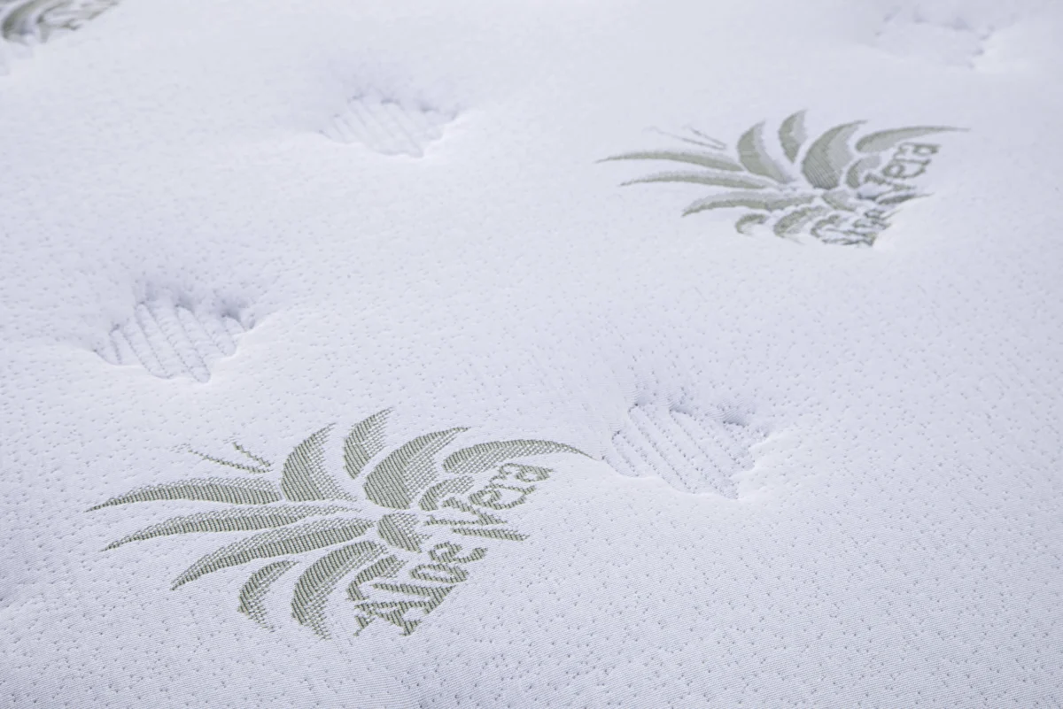 Dusek Nautilus Aloe Vera 02